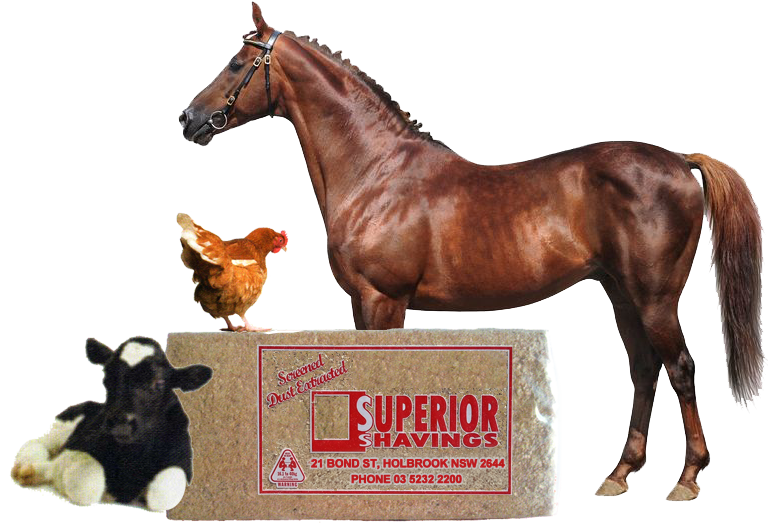 Superior Shavings