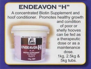End H (Biotin)