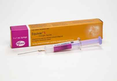 Equivac S 1ml tube Strangles Vaccine