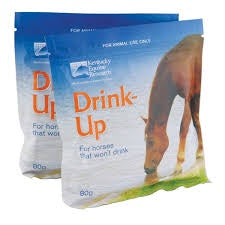 Drinkup Sachet 80g