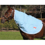 Hamilton Neck Rug (unlined canvas)