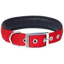 Soft Padded Collar