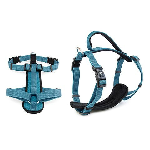 Premium Sport Dog Harness 15mm